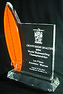 Acrylic Surfboard Trophy